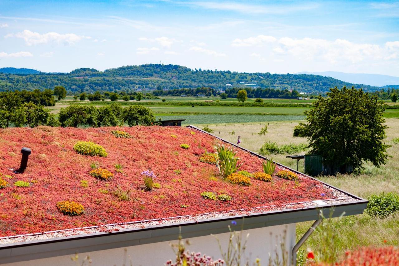 Lavate Apartment Kappel-Grafenhausen